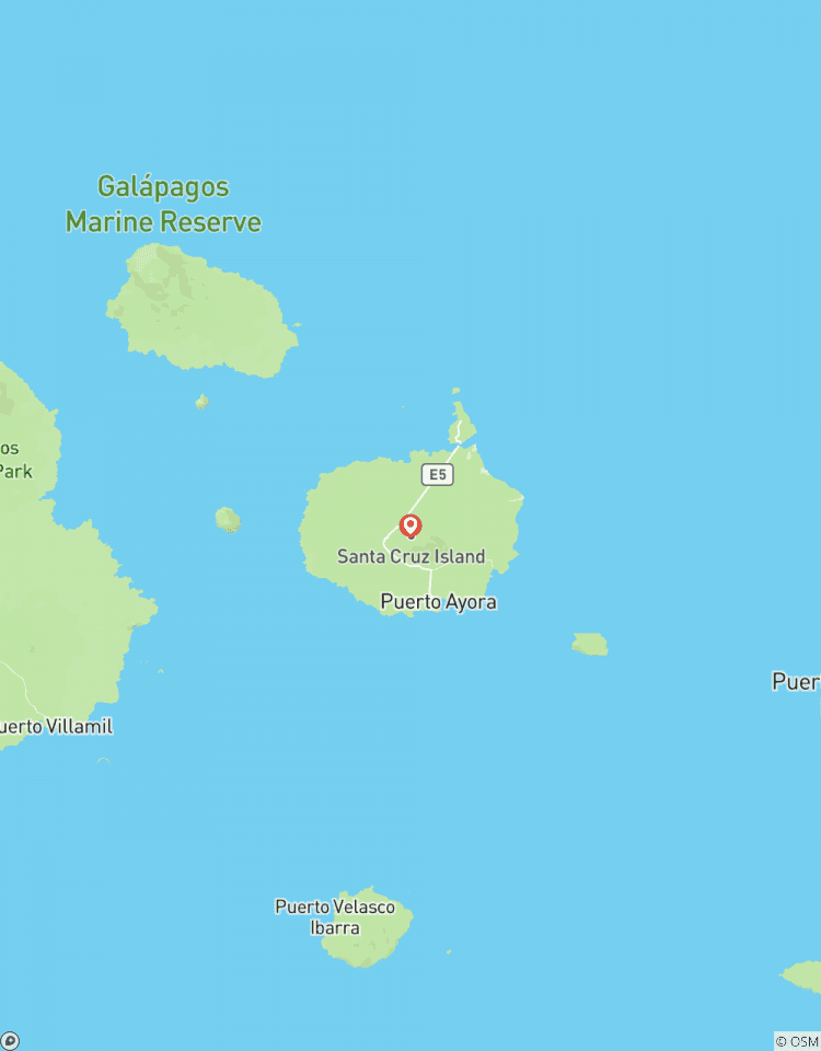 Circuito Circuito de un día a Seymour Norte Galápagos: Circuito de esnórquel y senderismo