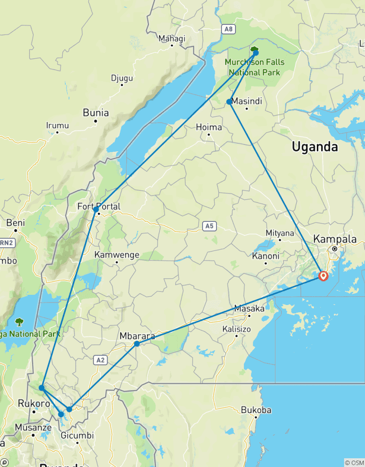 Découvrez les gorilles, les chimpanzés, les Big 5 et les grands félins en Ouganda (en exclusivité) circuit