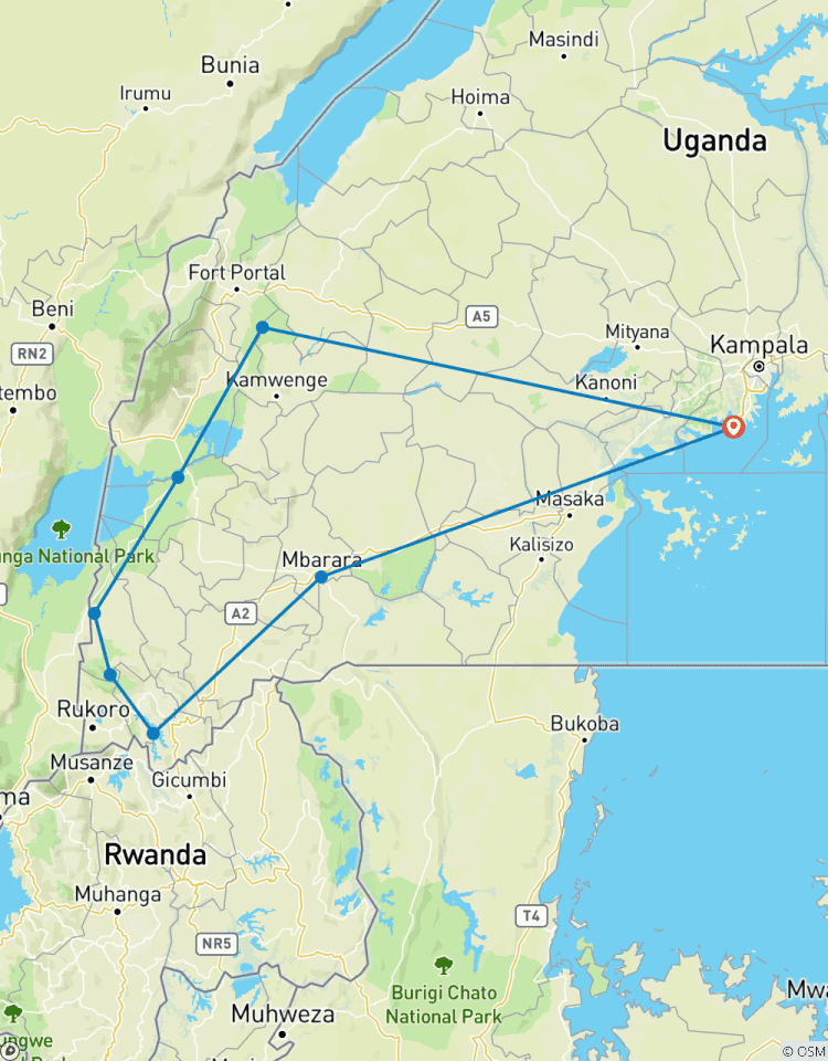 Découvrez les gorilles, les chimpanzés, les Big 5 et les grands félins en Ouganda (en exclusivité) circuit