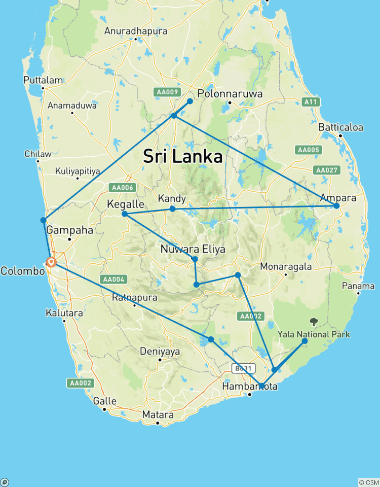Elefanten in Sri Lanka - 15 Tage Rundreise