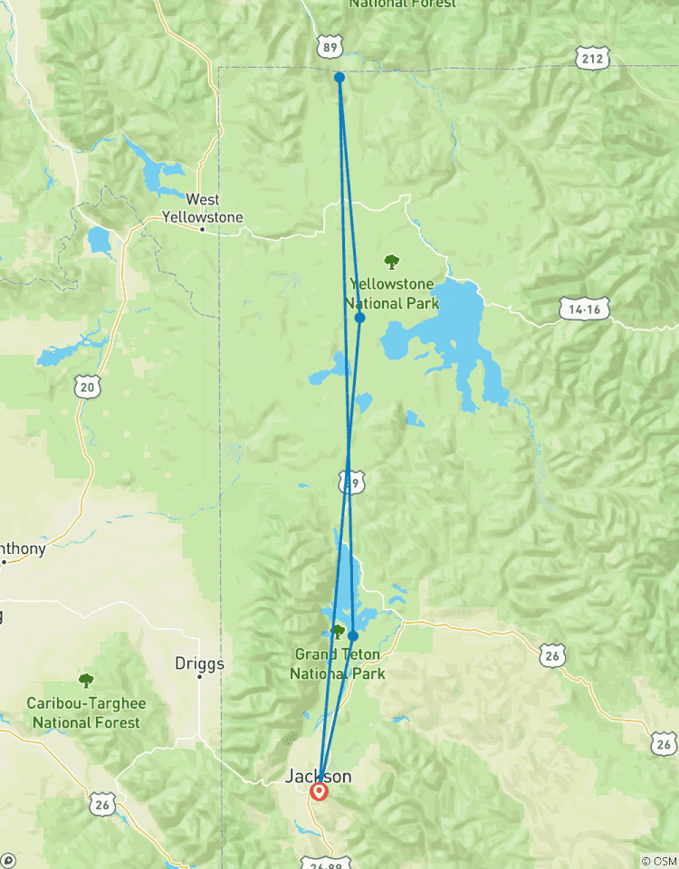 Grand Teton / Yellowstone National Parks 2 Day / 1 Night Wildlife Adventure Tour