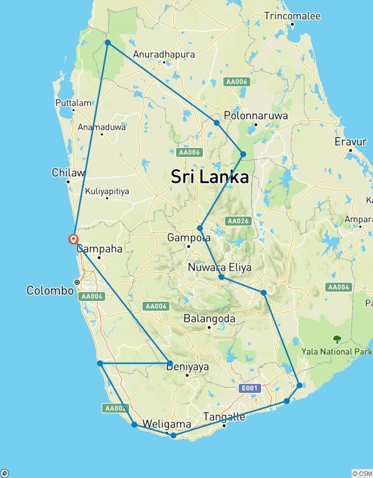 Wild en goddelijk in Sri Lanka-rondreis