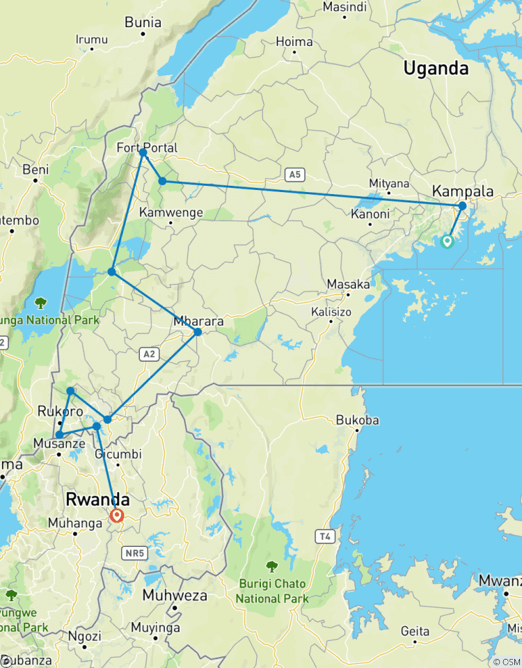 Circuito Excursión de 6 días a gorilas, monos dorados y chimpancés en la selva de Kibale