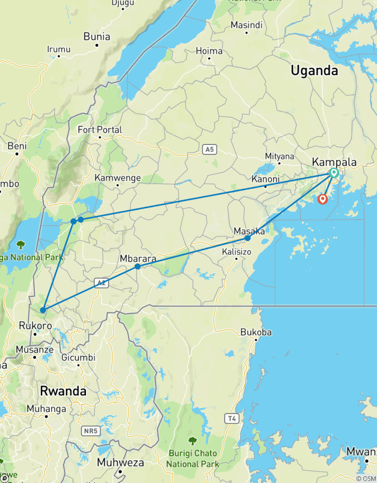 4 Days Gorilla tracking Bwindi & Queen Elizabeth Safari Tour