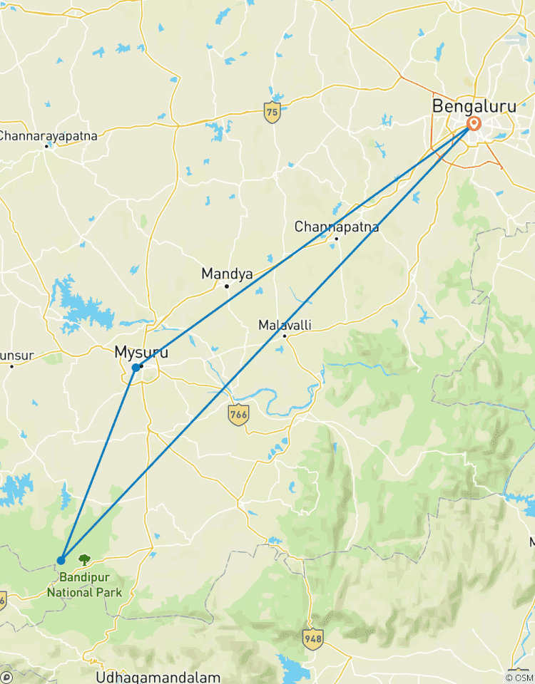 Circuito Ruta del patrimonio y la fauna: descubriendo Mysore, Bandipur y Somanathpur