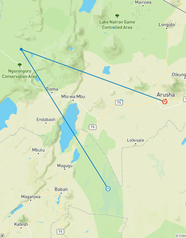 Circuito Safari épico de 2 días por Tanzania