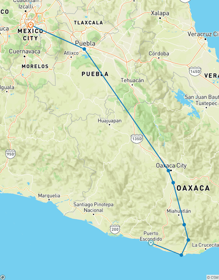 Puerto Escondido Tour: Mexicaanse wonderen van Mazunte tot Mexico Stad-rondreis