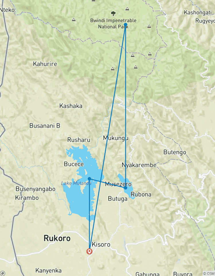 Transfer vom Flughafen Kisoro zum Bwindi Nationalpark Rundreise