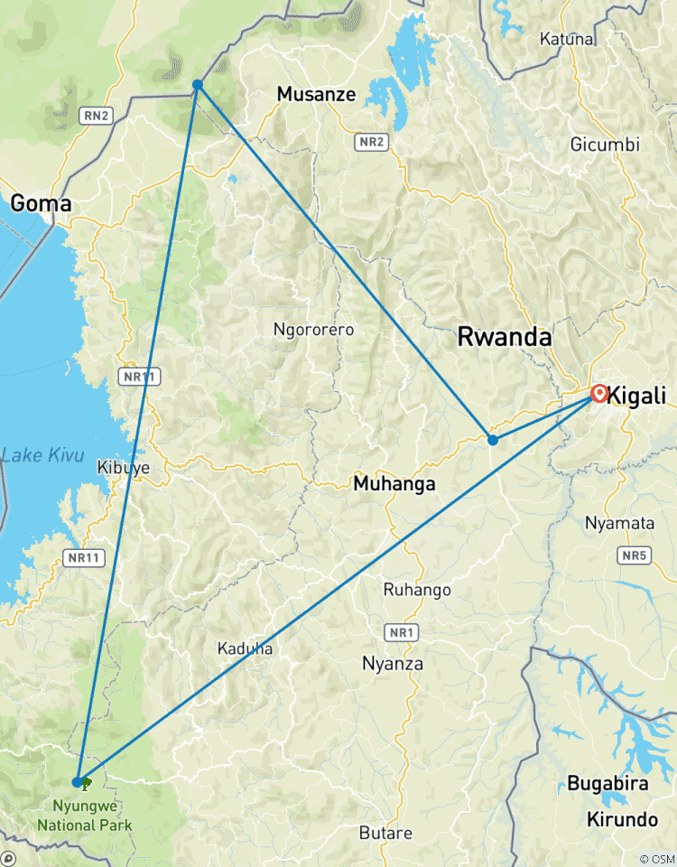 Discover Rwanda Gorillas, Chimps, Dian Fossey Tour (Exclusively Private) Tour