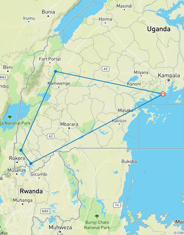 5-Day Uganda Chimpanzee Trekking and Gorilla Safari Tour Tour