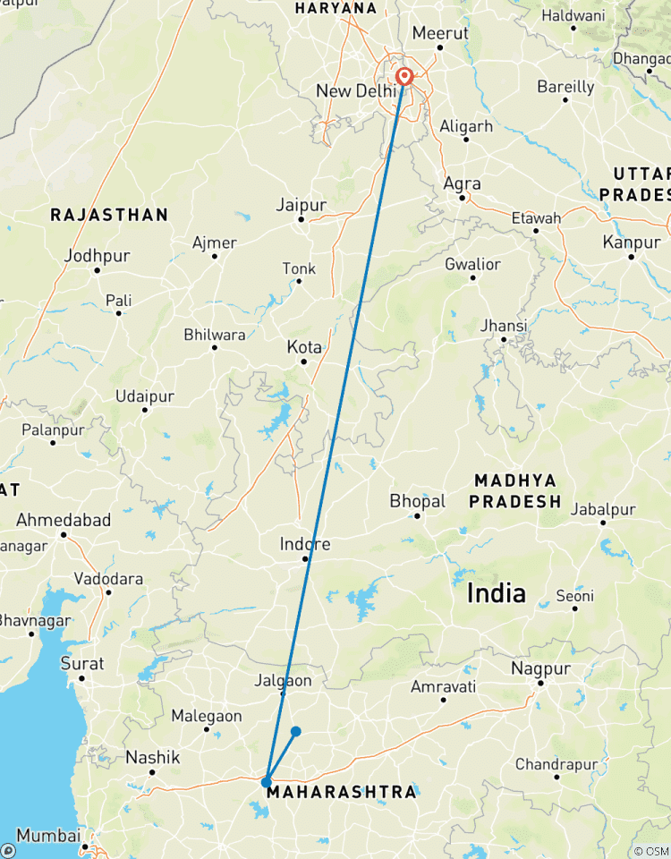 3-Day Private Trip to Ajanta Ellora Caves From Delhi with Flights Tour