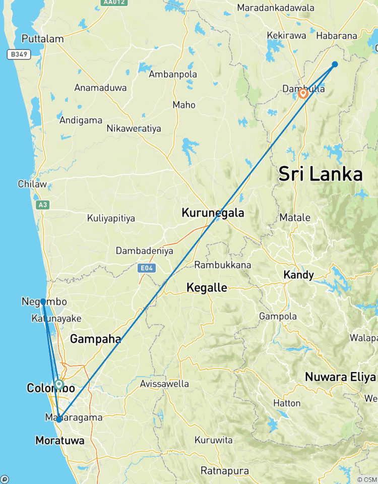 Circuito Excursión a la Fortaleza de la Roca de Sigiriya y al Templo de la Cueva, Todo Incluido