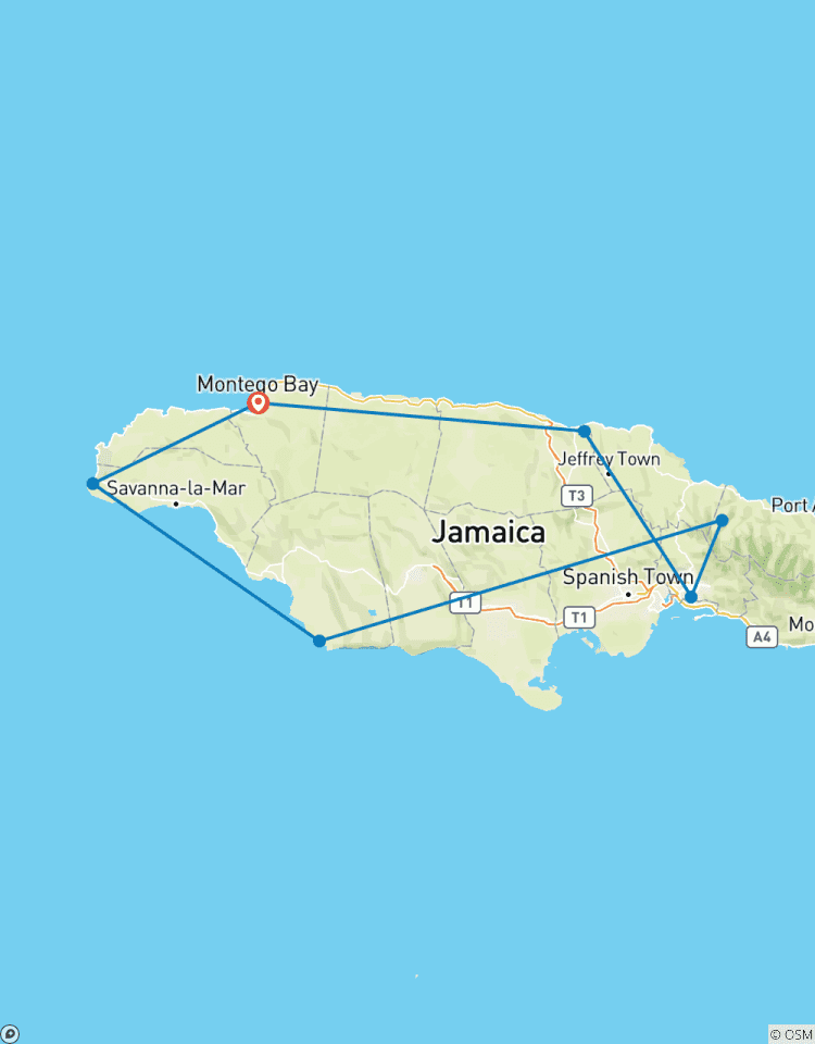 Tailor-Made 10 Days Jamaica Family Trip, Daily Depart & Private Guide Tour