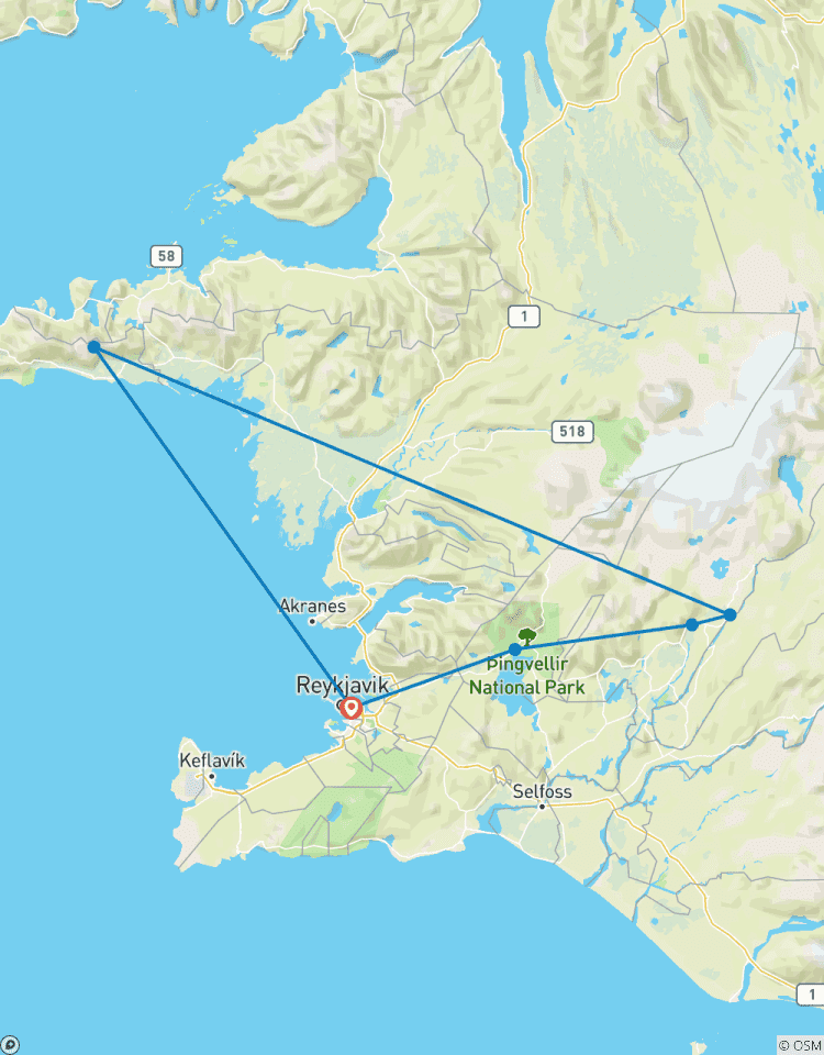 Iceland Adventure: Northern Lights & Snæfellsnes Peninsula Tour