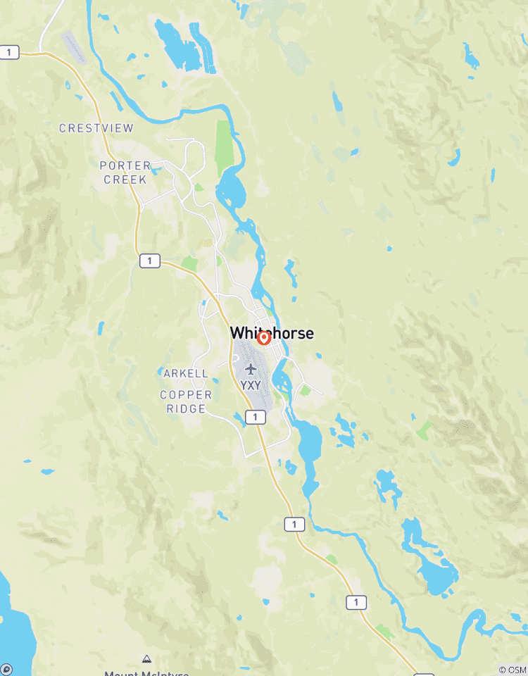 Aurora Beobachtung & Yukon Wildtier Beobachtung Rundreise