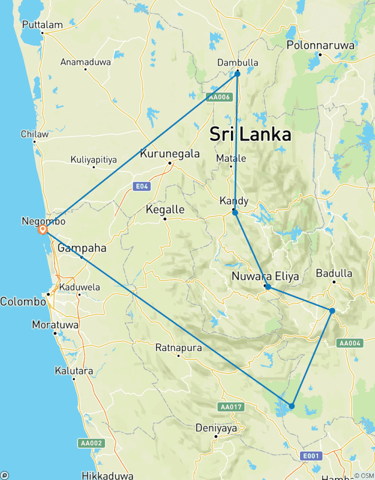 Circuito Encantadora Sri Lanka: historia, Paisaje, belleza y vida salvaje