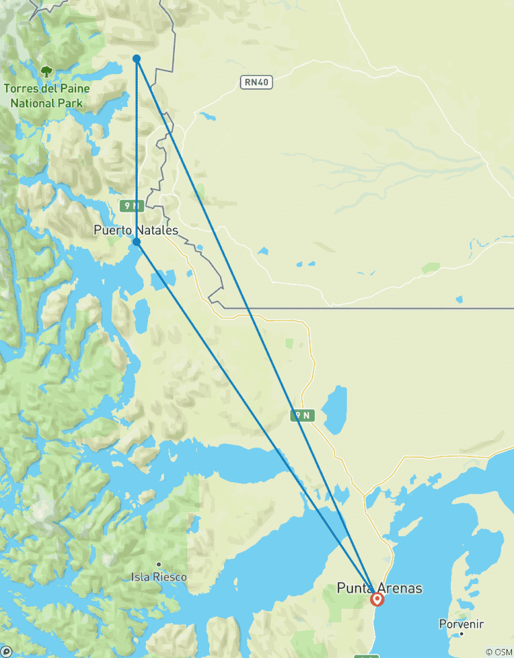 Between Fjords and Peaks: Puerto Natales & Paine Towers Tour