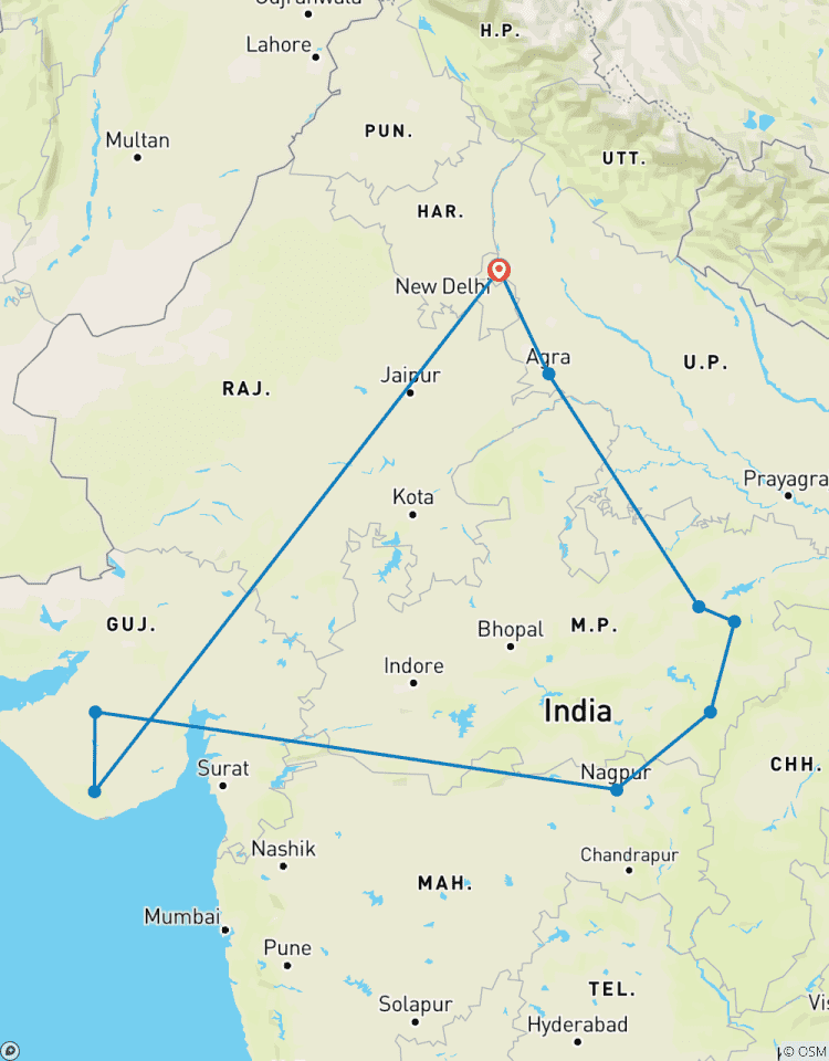 Explorer le monde avec le Taj Mahal lors d\'un voyage aventureux à la rencontre des tigres et des lions (TOUT COMPRIS) circuit