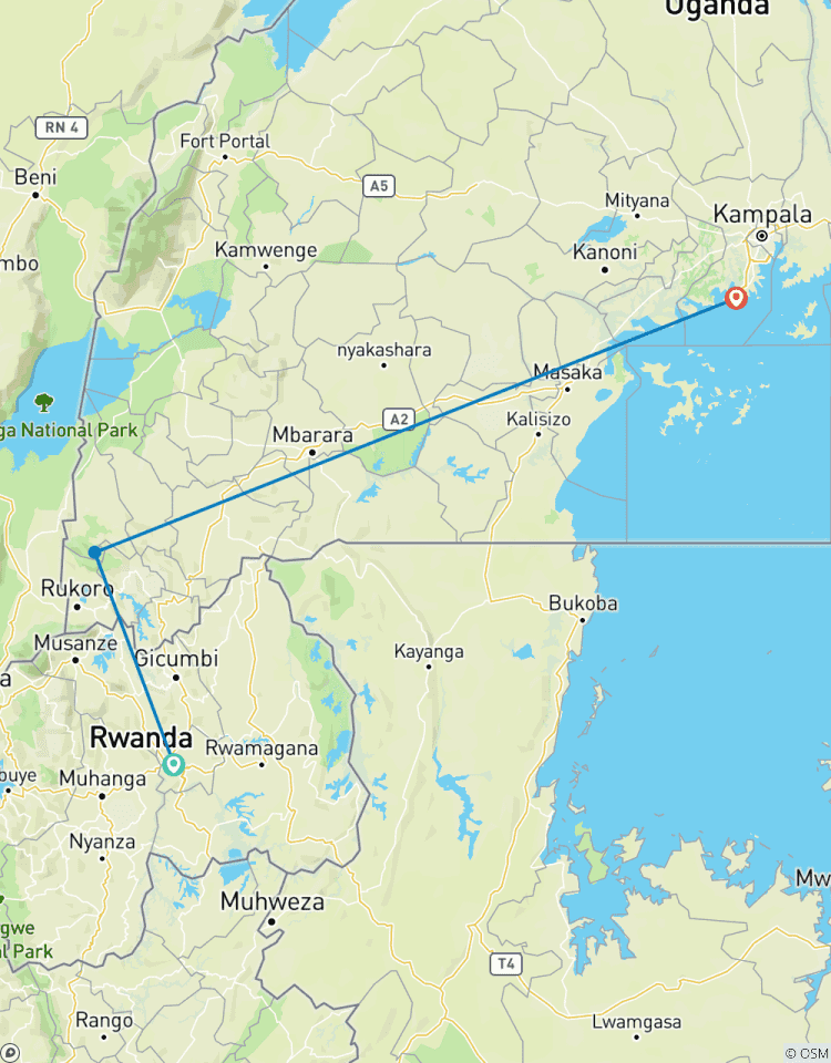 Rwanda/Ouganda : Safari gorilles circuit