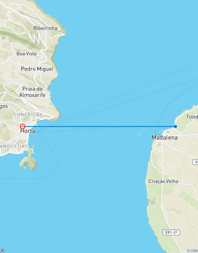 Baleines et dauphins circuit