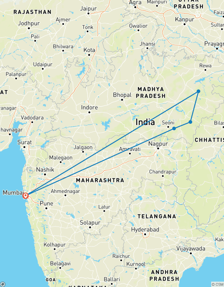 Safari de tigres en Inde avec Mumbai circuit