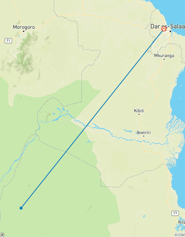 3 Days – Nyerere National Park Safari Tour