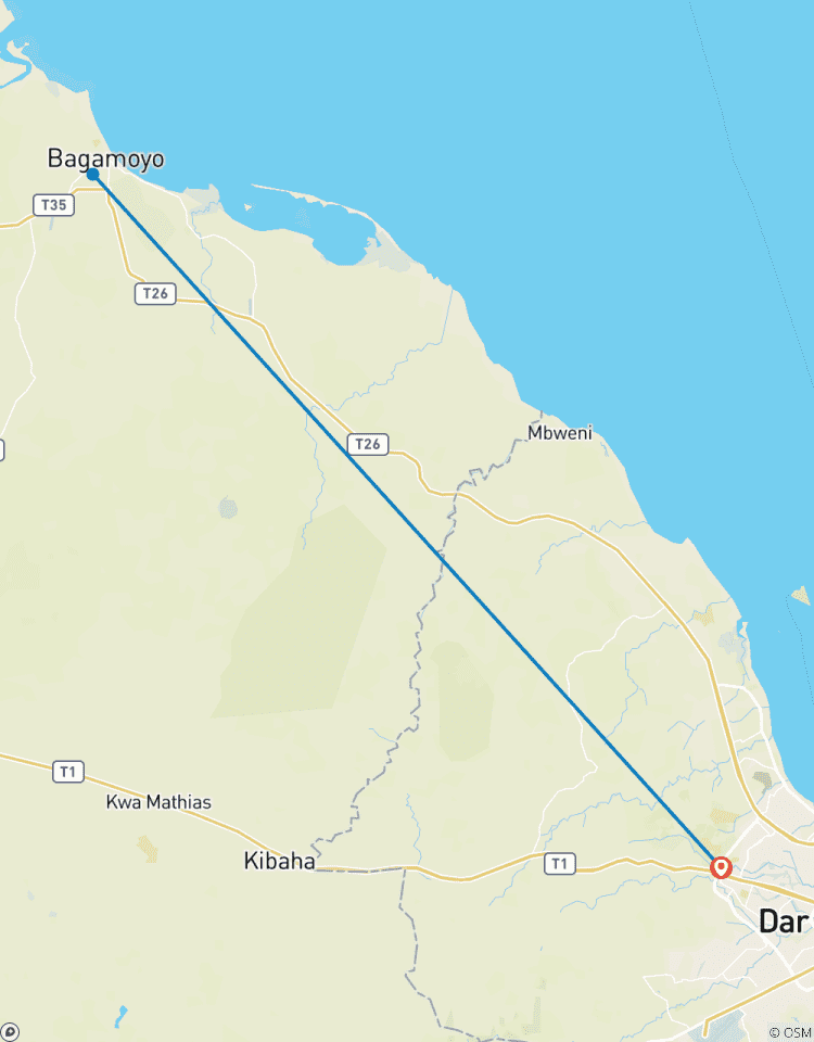 5 Days - Bagamoyo African Art Tour Tour