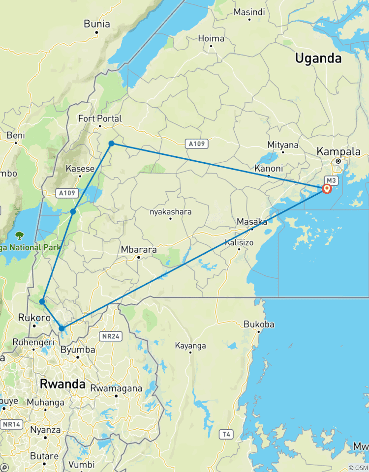 Trip to Uganda Wildlife Sighting Including Gorilla Trekking Tour