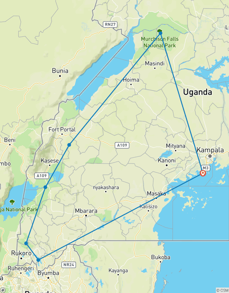 Murchison Falls Including Big 5, Chimp, Gorilla Trekking Tour