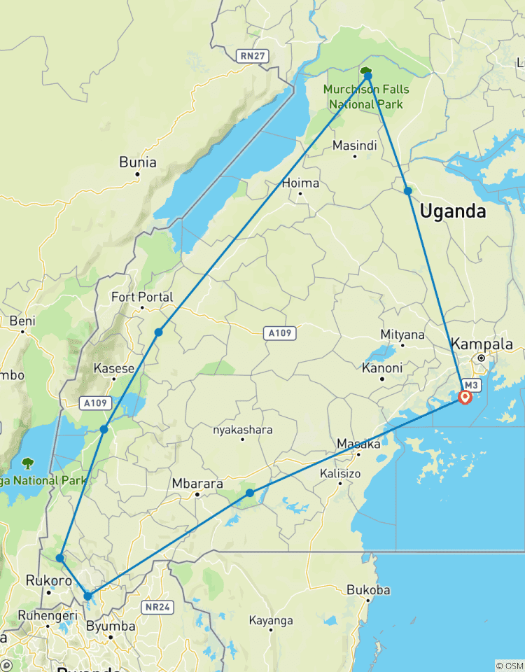 12-Day Trip Including Gorilla Trekking, Big 5 and Nature Sighting Tour