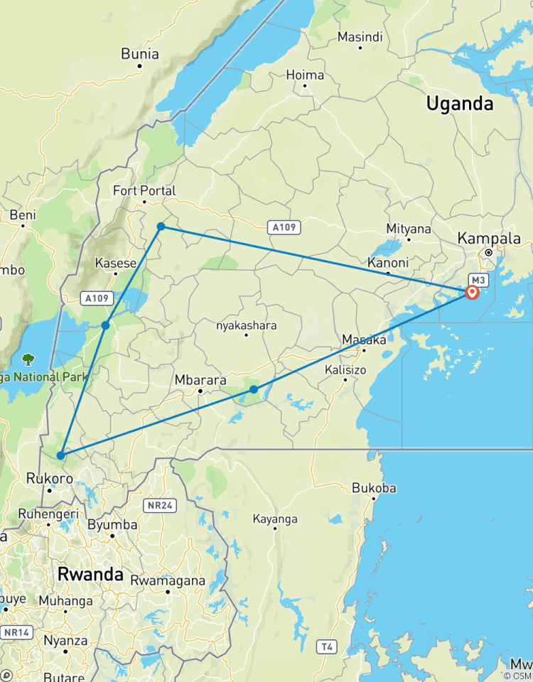 Wildlife Sighting Trip Including Chimp, Gorilla Trekking Tour