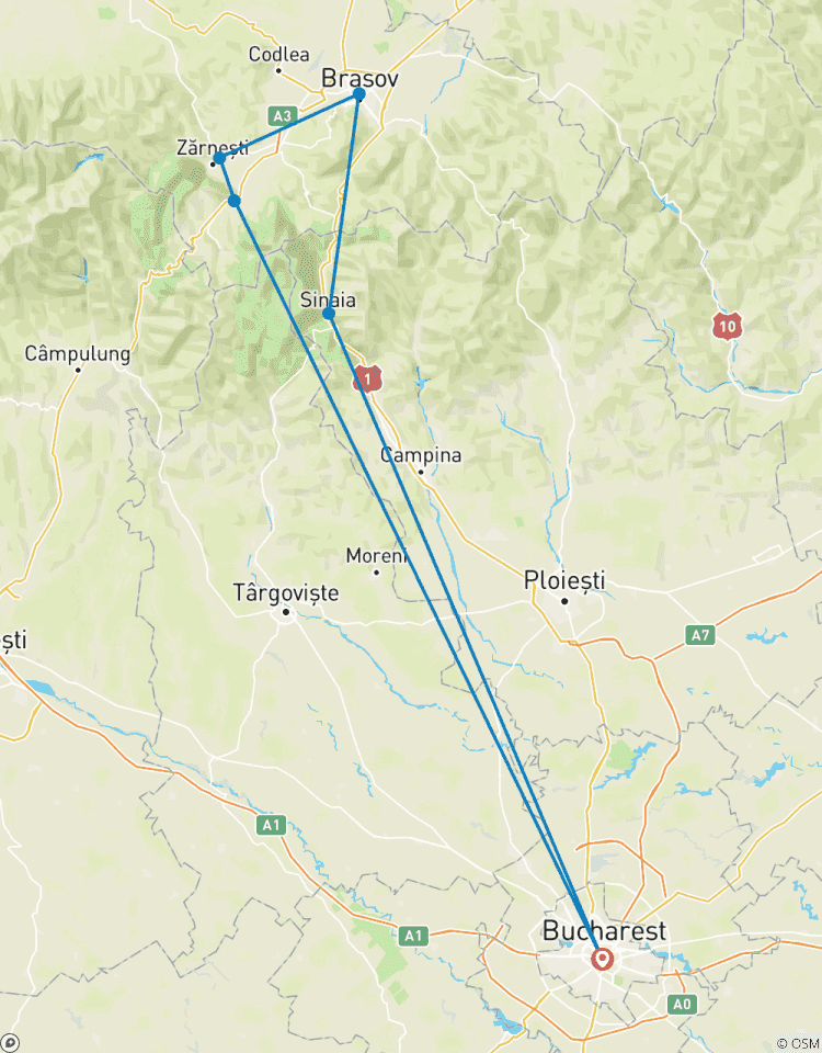 Circuit privé de 2 jours en Roumanie comprenant le château de Peles, le château de Bran, le château de Cantacuzino, Brasov et le sanctuaire des ours circuit