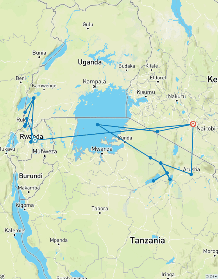 Gorillas & East Africa Safari Tour