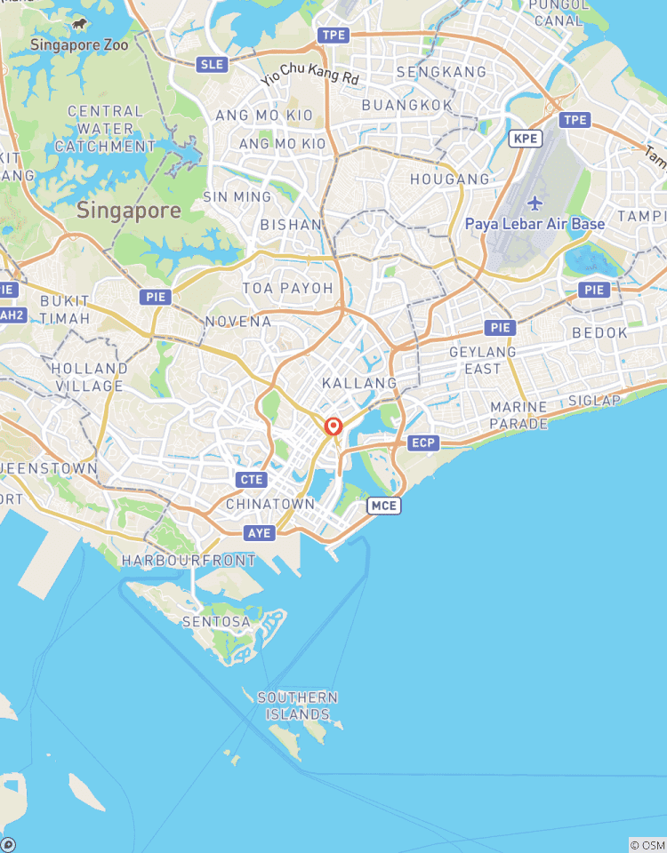 Circuito Escala de 3 días en Singapur