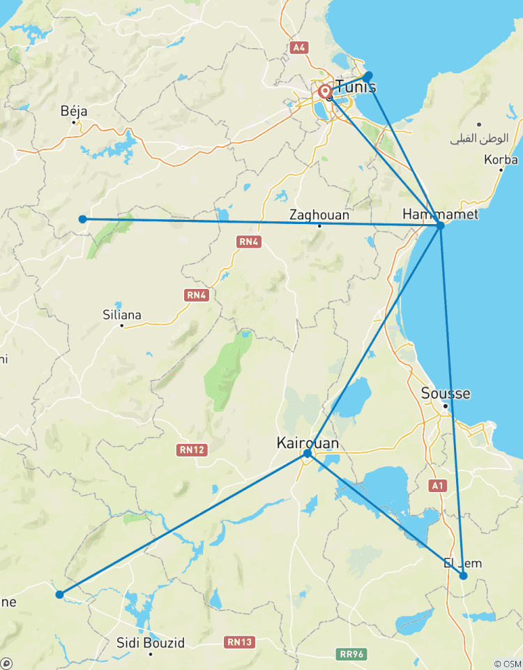 Circuito Túnez - 8 días destacados Túnez Hammamet Kairouan