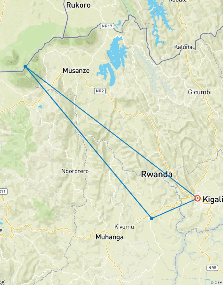 Ruanda Gorilla Trekkingreise 4 Tage Rundreise