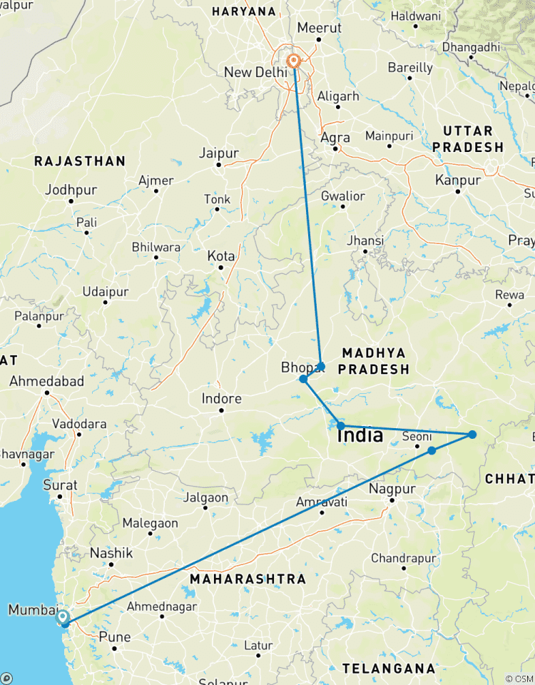 Central India Tiger Trails with Indian Marvels Tour