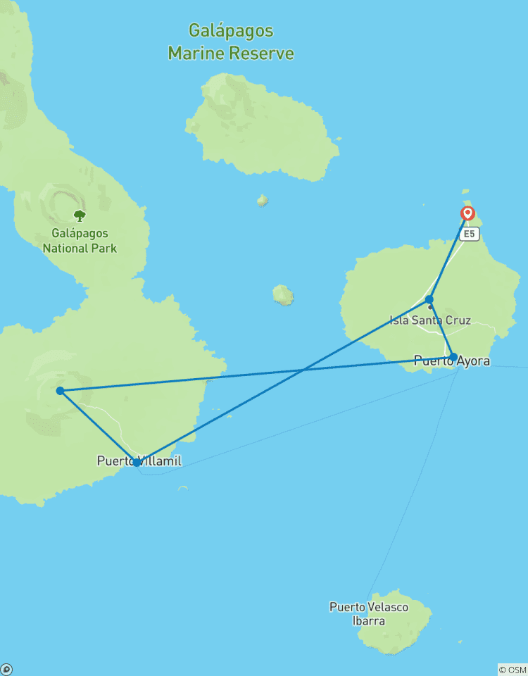 Galapagos Turtles & Penguins Tour