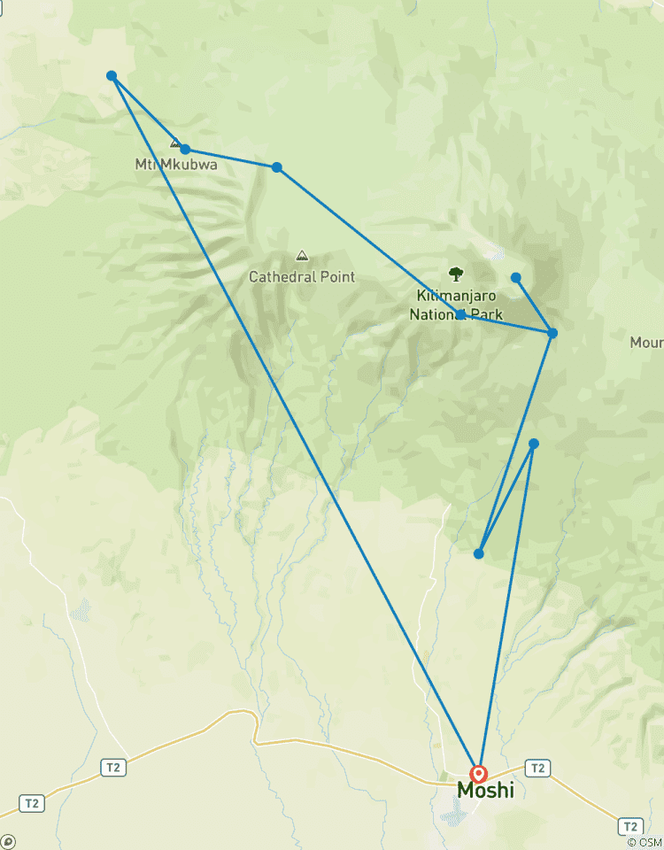 Kilimanjaro Lemosho Route 8 Day *High summit success rate* Tour