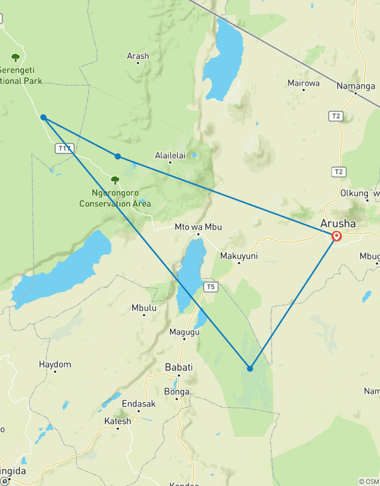 Circuito Safari en grupo de 4 días por Tanzania: Tarangire, Serengeti y Cráter del Ngorongoro