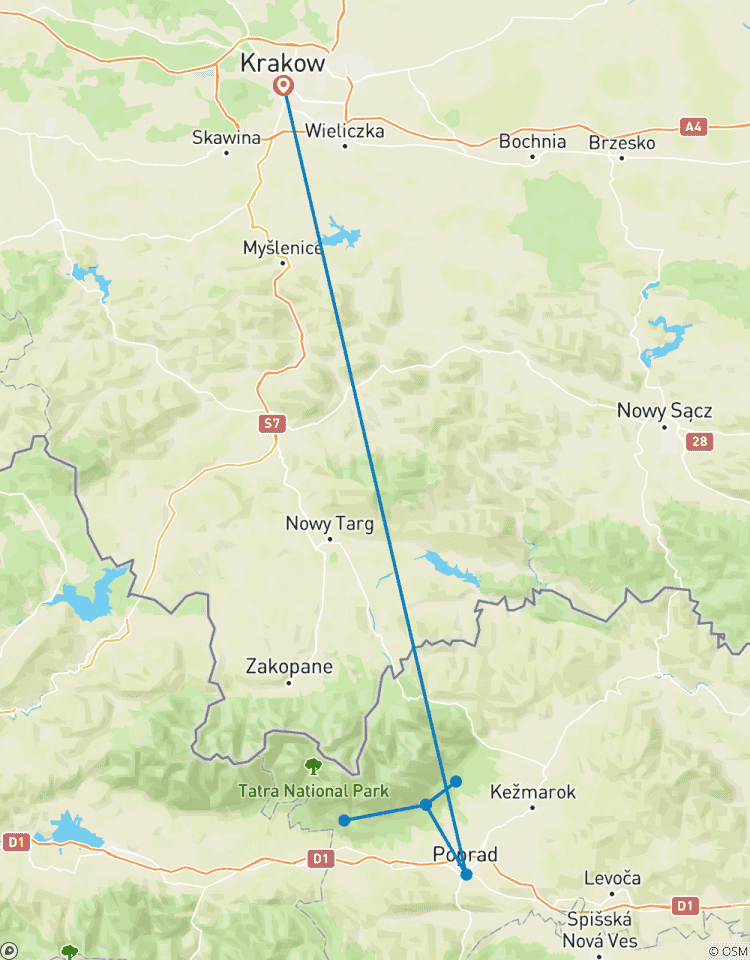 Randonnée pour observer les ours circuit