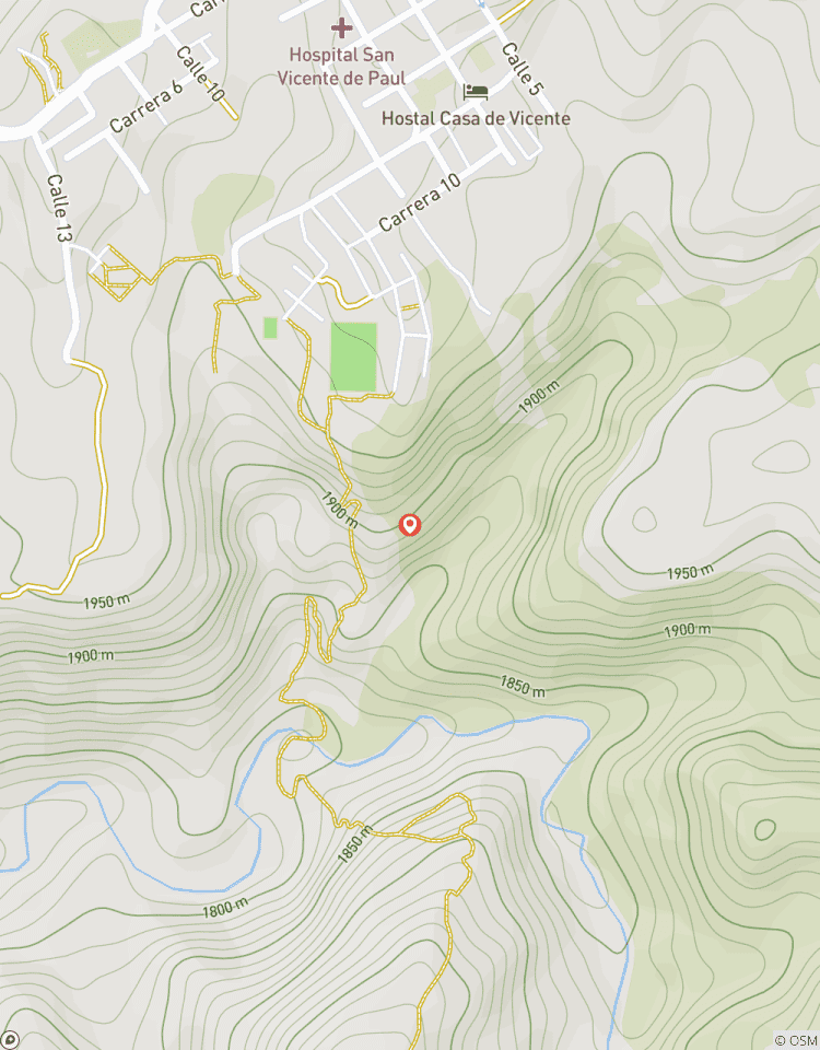 Expérience de 5 jours dans la région du café de Quindío avec la vallée de Cocora et la culture - Colombie circuit