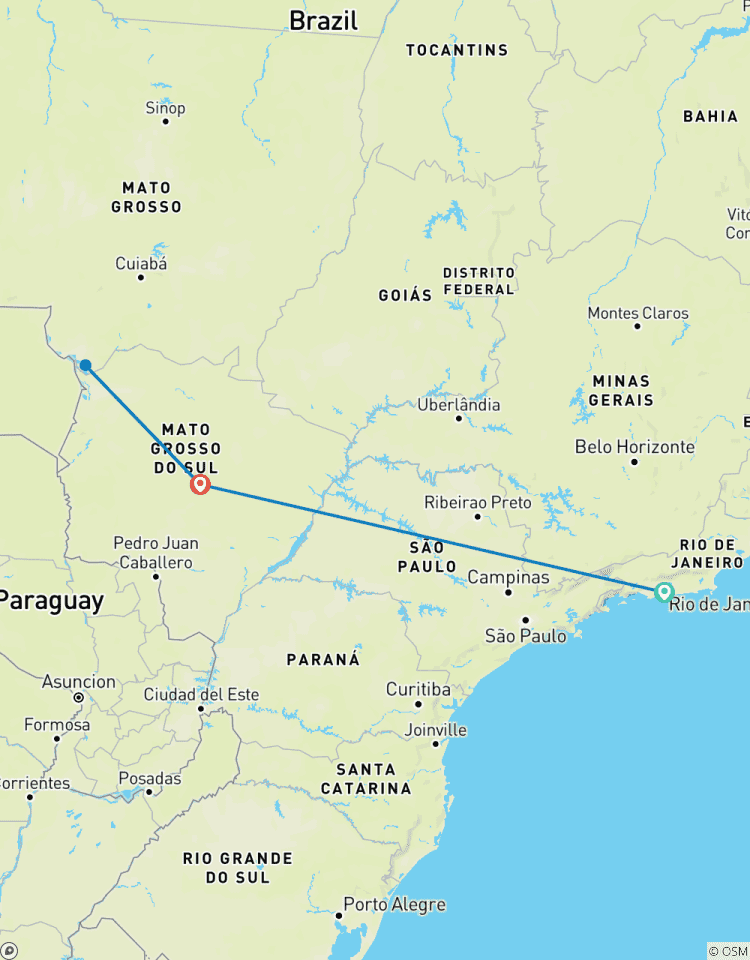 Rio de Janeiro & Pantanal Wildlife Tour