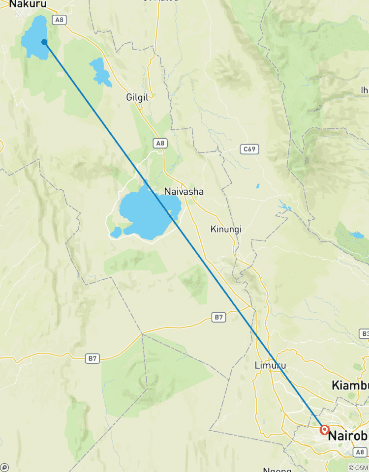 Circuito El lago Nakuru en un día: Vida salvaje y maravillas