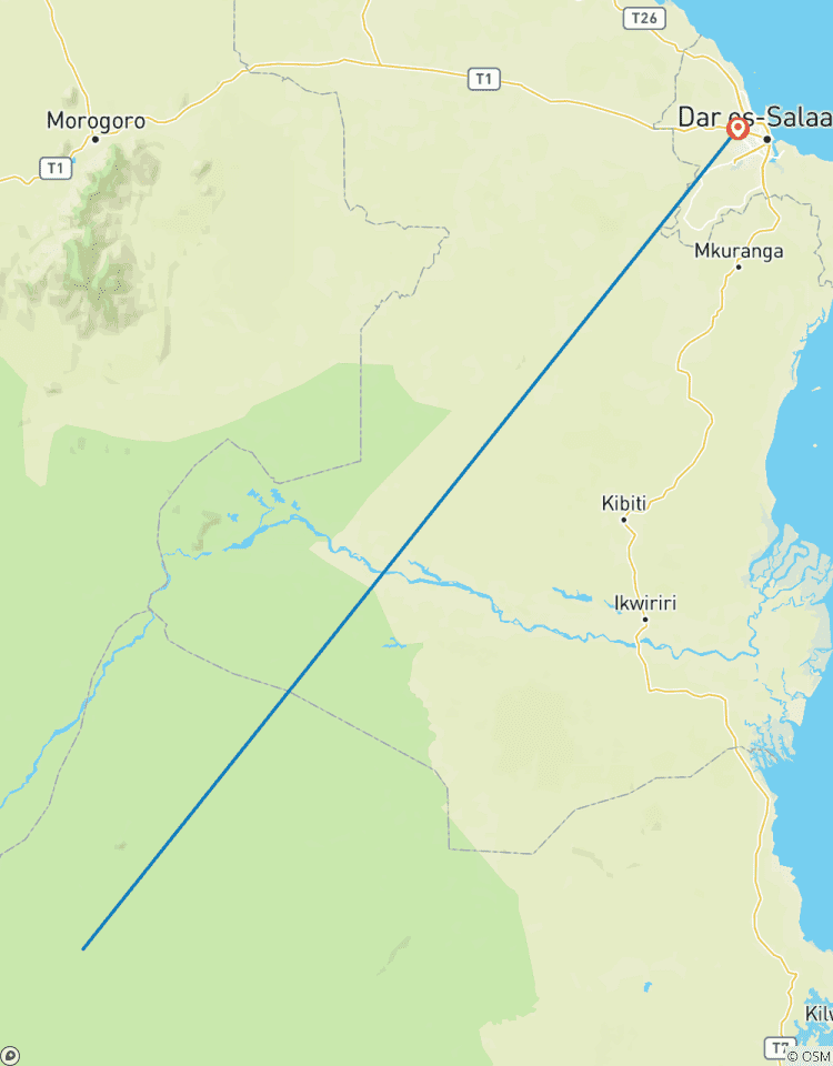 3 Dagen het beste van Selous (Nyerere nationaal park)-rondreis