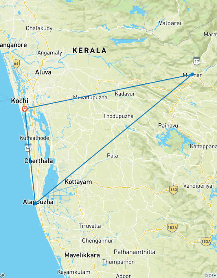 South India Tour (Explore Cochin, Munnar and Alleppey) Tour