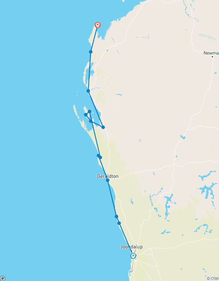 Walhai Schnorcheln Ningaloo Riff Rundreise