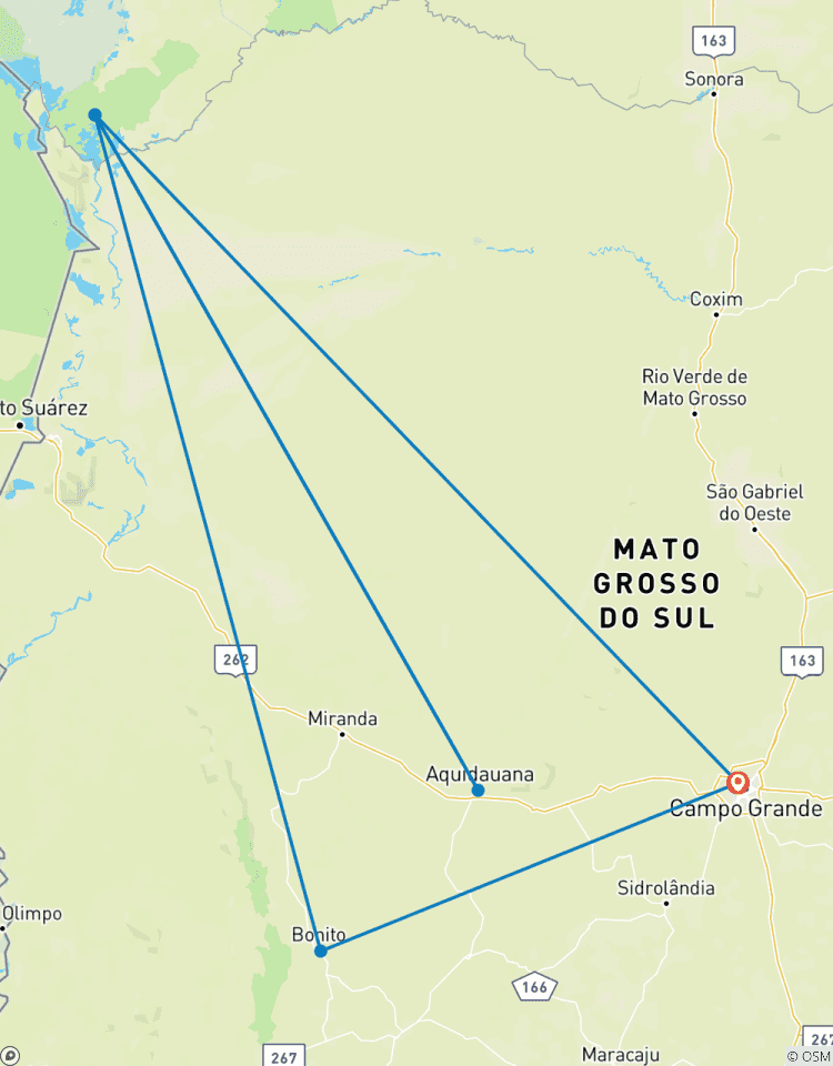 Circuito Pantanal Sur y Bonito