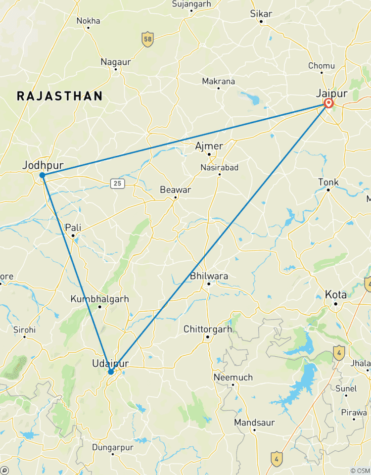 Gouden Driehoek van Rajasthan Tour!-rondreis