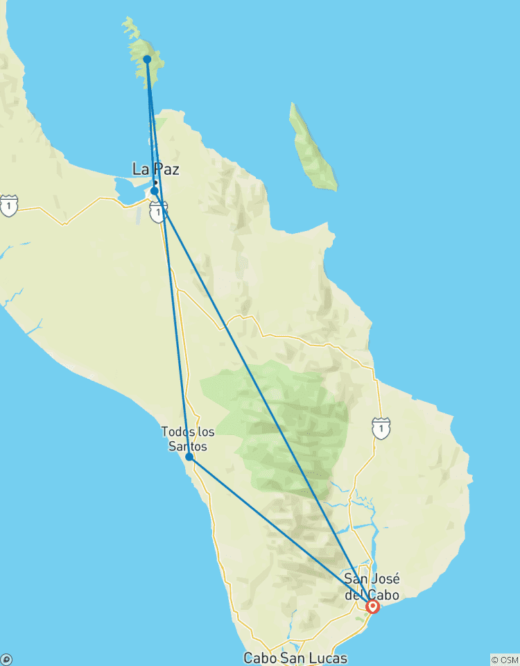 Circuito Baja - Aventura en la fauna marina
